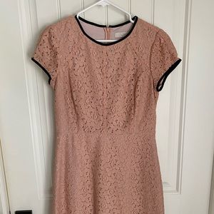 Loft Blush Lace Dress